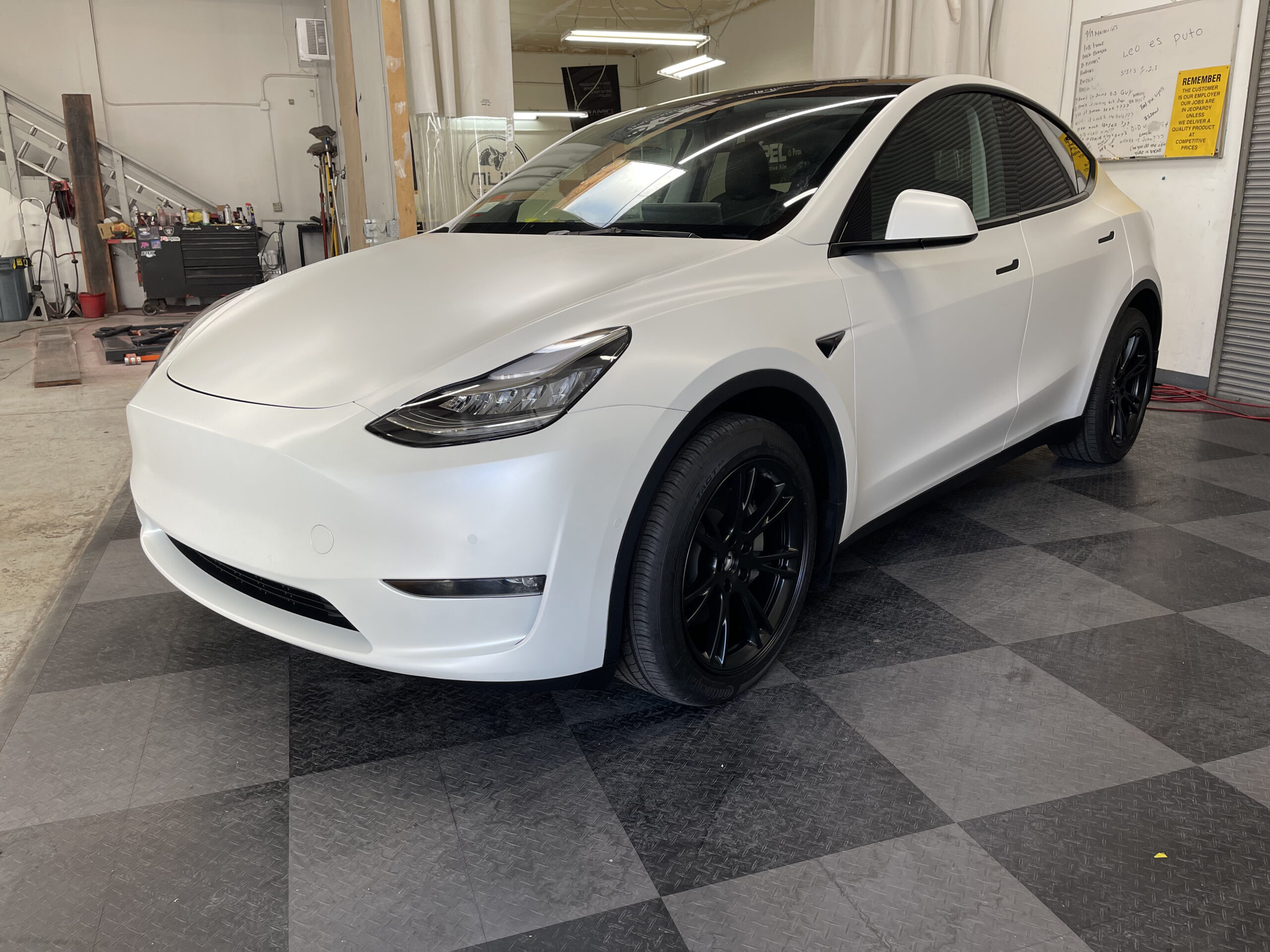 tesla modely y paint protection film