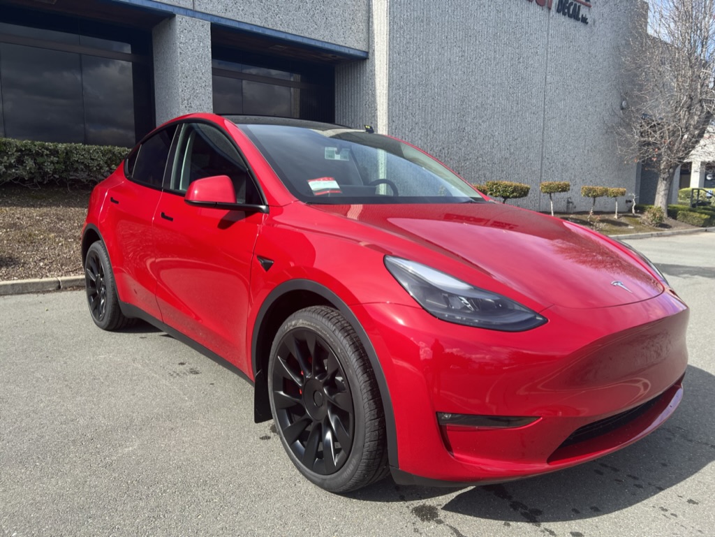 Paint Protection Film Model Y
